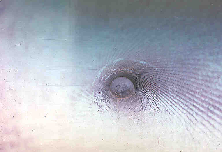 bullet.jpg (23769 bytes)